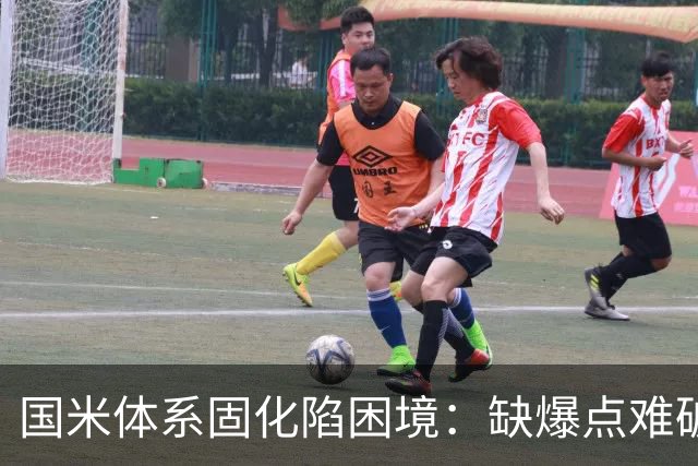 国米体系固化陷困境：缺爆点难破欧冠瓶颈，齐沃如何破局