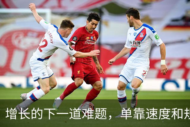 增长的下一道难题，单靠速度和规模都解决不了
