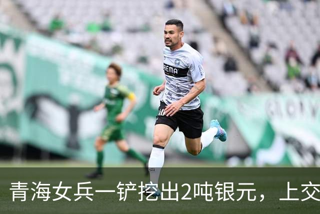 青海女兵一铲挖出2吨银元，上交后竟扯出32年前军阀埋宝大案